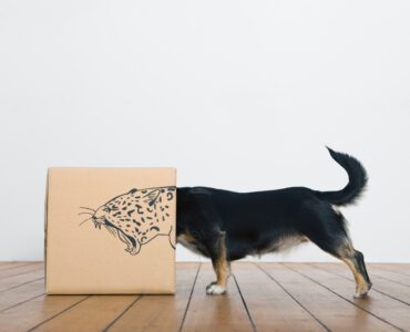 CS대행 고객 유형별 CS대응 요령 – 저돌형 고객 CS대응 방법